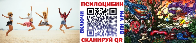 Галлюциногенные грибы Cubensis  Дедовск 
