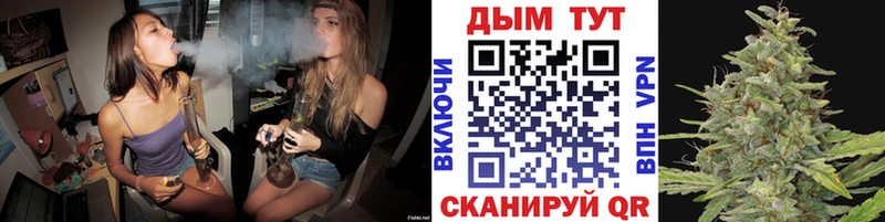 Шишки марихуана ГИДРОПОН  где найти наркотики  Дедовск 